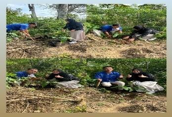 Pohon Maret 8