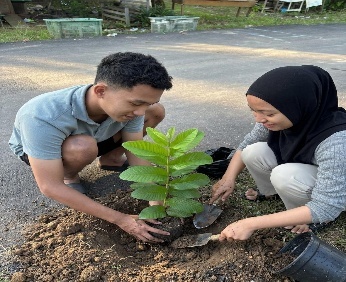 Pohon Mei 10
