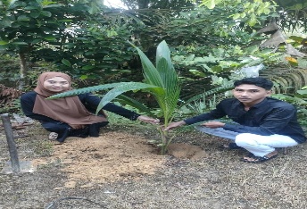 Pohon Mei 11