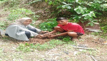 Pohon Mei 14