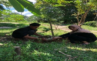 Pohon Mei 19