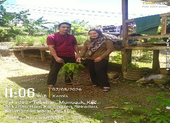 Pohon Mei 21