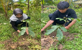Pohon Mei 23