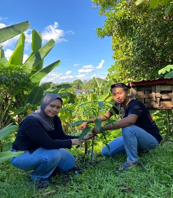 Pohon Mei 28
