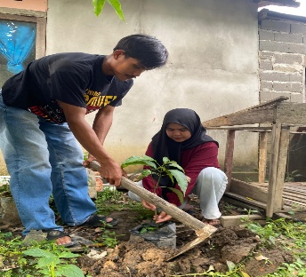 Pohon Mei 29