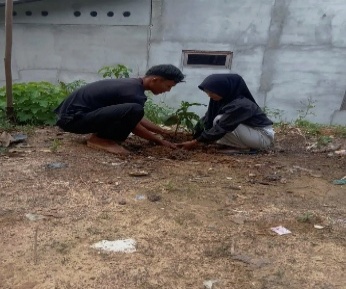 Pohon Mei 30