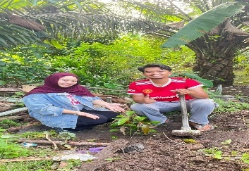 Pohon Mei 7
