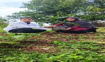 Pohon Mei 9